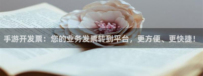恒盛娱乐登陆：手游开发票：您的业务发票转到平台，更方便、更快