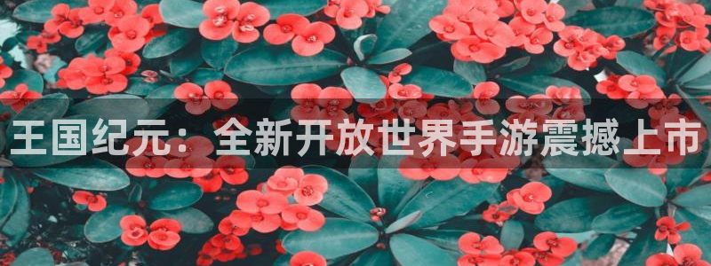 恒盛娱乐官网：王国纪元：全新开放世界手游震撼上市