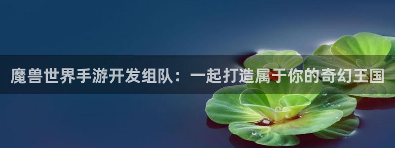 恒盛娱乐官网：魔兽世界手游开发组队：一起打造属于你的奇幻王国