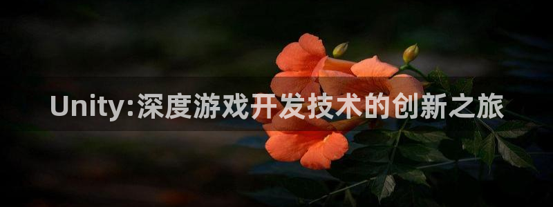 恒盛娱乐平台：Unity:深度游戏开发技术的创新之旅