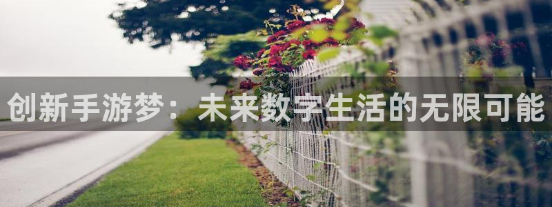 恒盛娱乐首页：创新手游梦：未来数字生活的无限可能