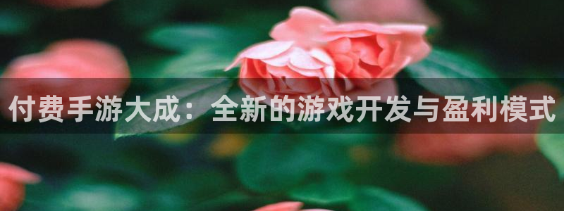 恒盛娱乐登陆：付费手游大成：全新的游戏开发与盈利模式
