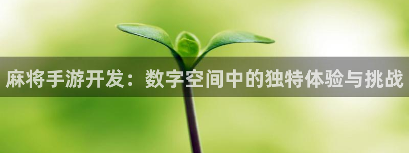 恒盛娱乐官网：麻将手游开发：数字空间中的独特体验与挑战