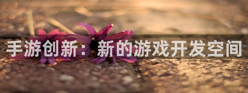 恒盛娱乐注册：手游创新：新的游戏开发空间