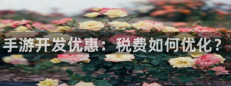 恒盛娱乐