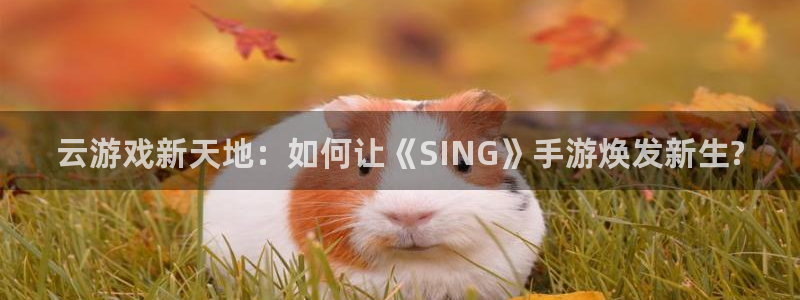 恒盛娱乐官网：云游戏新天地：如何让《SING》手游焕发新生?