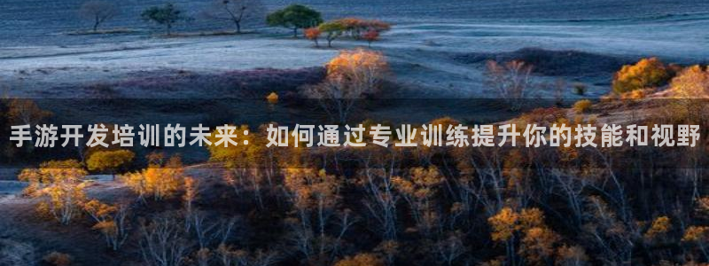 恒盛娱乐登录：手游开发培训的未来：如何通过专业训练提升你的技