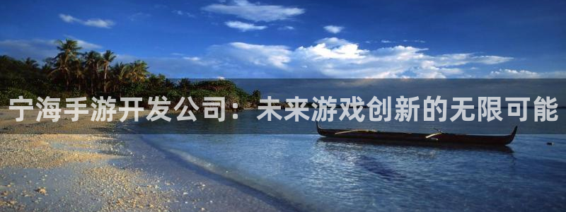 恒盛娱乐app：宁海手游开发公司：未来游戏创新的无限可能