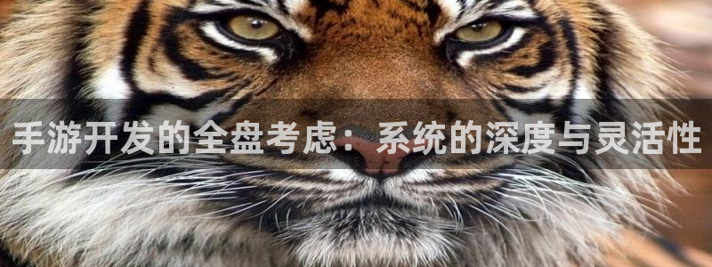 恒盛娱乐注册：手游开发的全盘考虑：系统的深度与灵活性