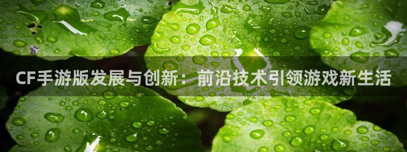 恒盛娱乐登陆：CF手游版发展与创新：前沿技术引领游戏新生活