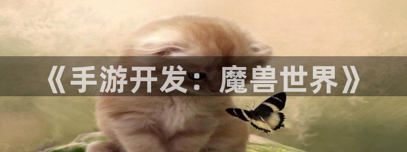 恒盛娱乐注册：《手游开发：魔兽世界》