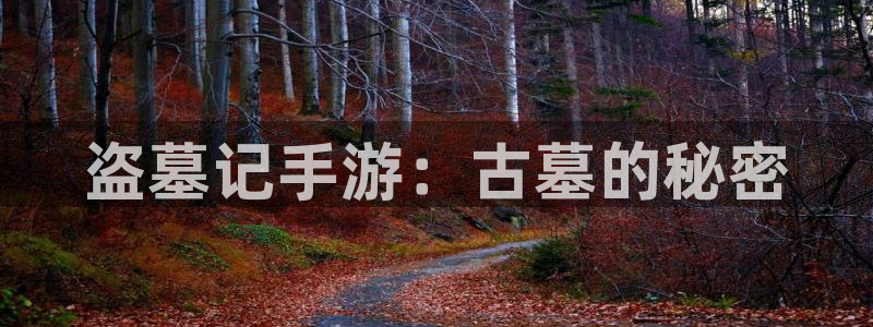 恒盛娱乐注册：盗墓记手游：古墓的秘密