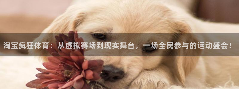 中山熊猫体育