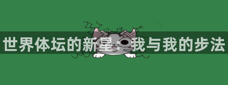 动感熊猫体育公园