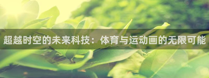 熊猫体育手机版