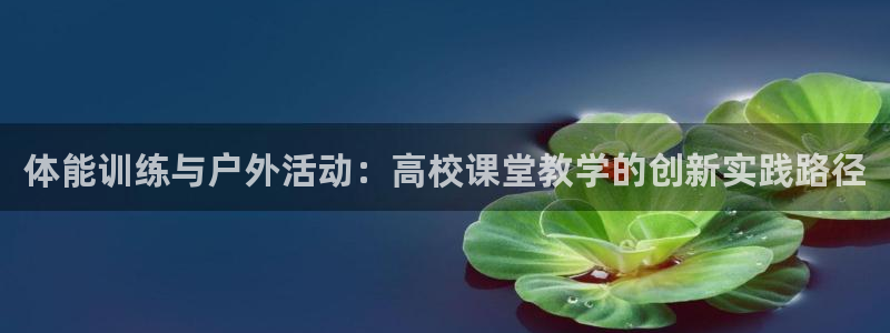 熊猫体育在线